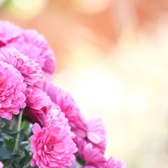 私の”あいさに”ダイアリー⑦