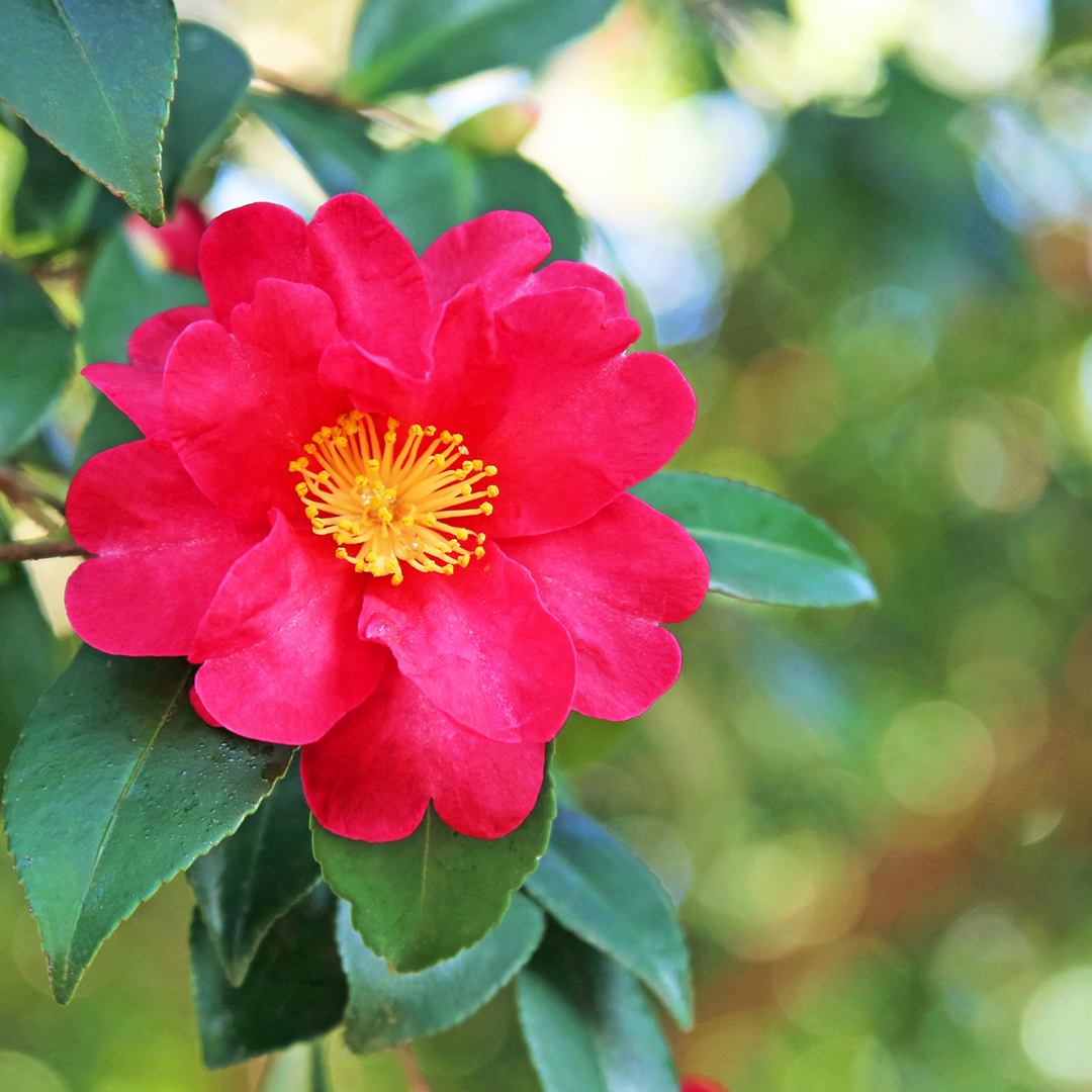 私の”あいさに”ダイアリー⑨　