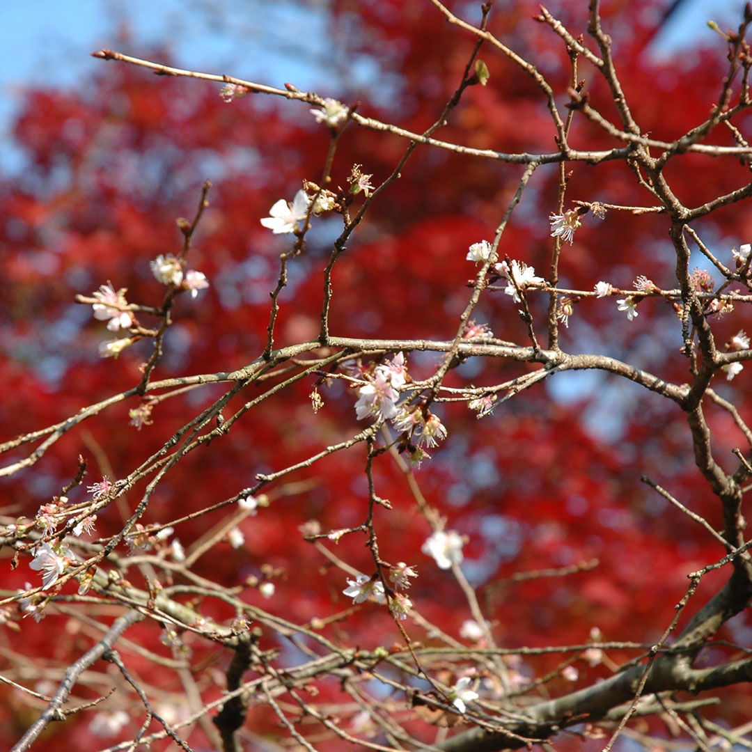 私の”あいさに”ダイアリー➉