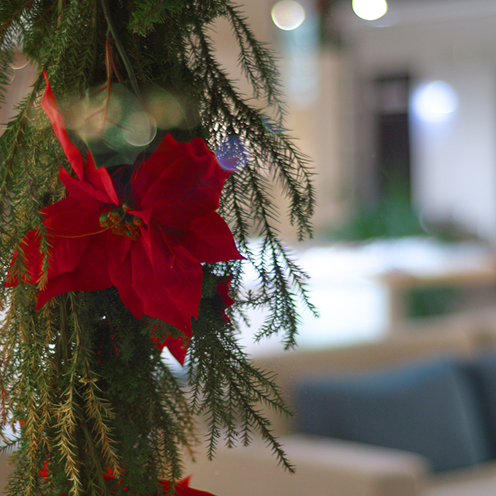 【金沢店】クリスマスディスプレイ