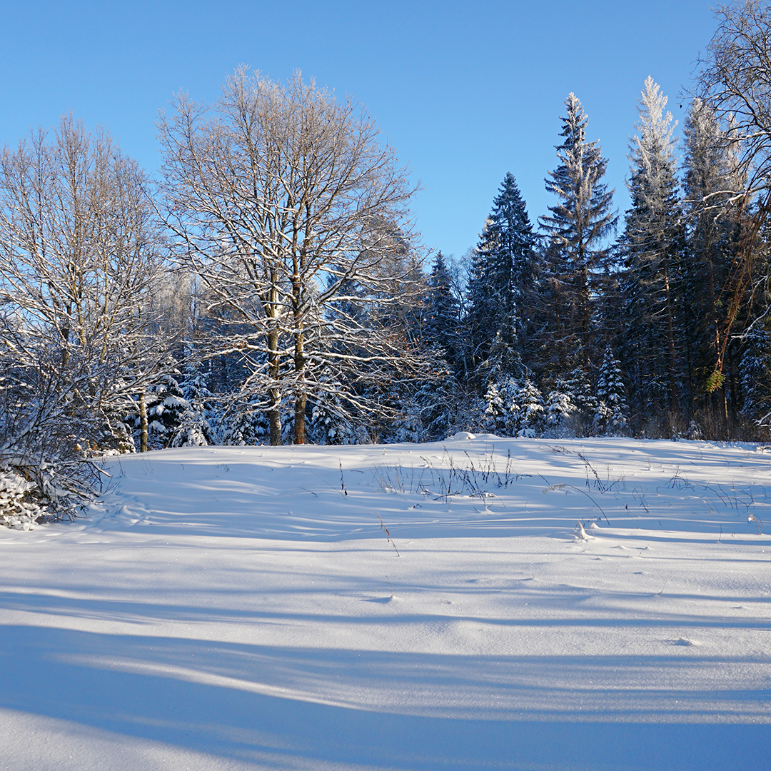 スタイリングレシピ vol.146　北欧スタイル特集【北欧モダンⅠ】