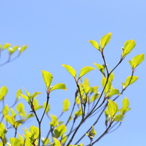 私の”あいさに”ダイアリー⑫