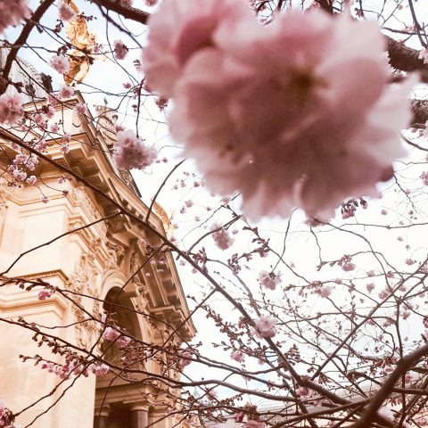 旅のインスピレーション8＿パリ